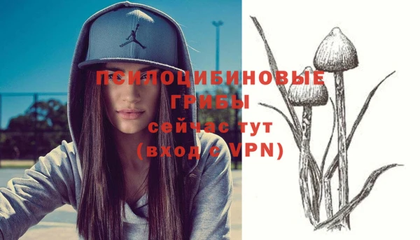 альфа пвп VHQ Богданович