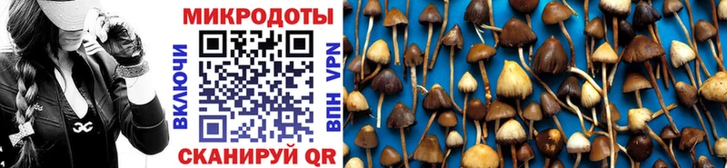 купить  сайты  Обь  Галлюциногенные грибы ЛСД 