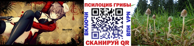 Галлюциногенные грибы GOLDEN TEACHER Обь